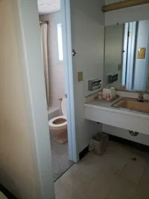 Budget Inn Horseheads  - Salle de bain