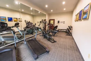 Comfort Inn & Suites New Iberia - Avery Island - Salle de remise en forme