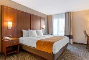 Comfort Suites South Haven near I-96 - Chambre