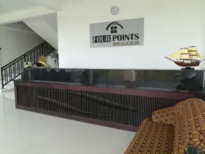 Four Points Resort - Anuradhapura - Réception