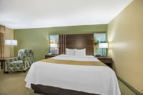 Quality Inn Paris - Værelse