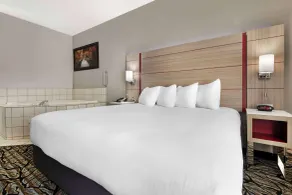Best Western Plus Albert Lea I-90/I-35 Hotel - Zimmer