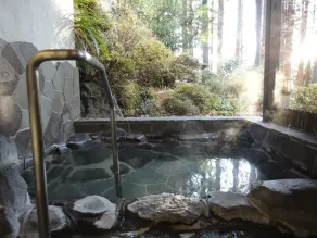 Hananoyado Fukuya - Bagno
