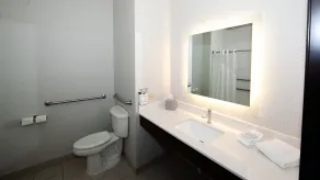 Holiday Inn Express Hotel & Suites Chicago South Lansing by IHG - Salle de bain