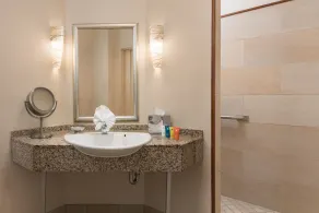 The Mansion On Delaware Ave - Salle de bain