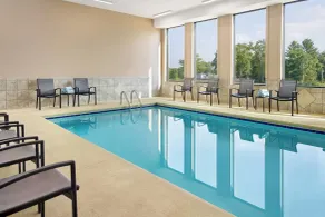 Fairfield Inn & Suites by Marriott Asheville Airport/Fletcher - Piscine