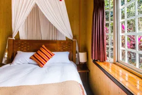 Dream Home B&B - Room