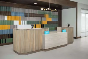 Hampton Inn Orlando Southeast Nona - Réception