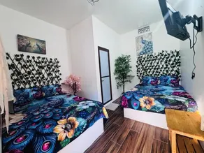 refugio de las aves - Zimmer