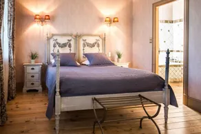 Demeure Saint Louis Historic manor, City 700m, free parking,A C,Clim,WIFI, city view, Garden - Room