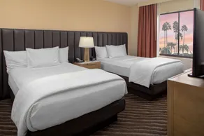 Embassy Suites by Hilton Phoenix Scottsdale - Chambre