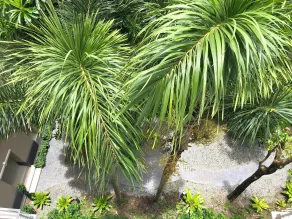 The Green View Hotel - Ausblick vom Zimmer