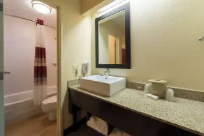 Red Roof Inn PLUS+ University at Buffalo - Amherst - Bad