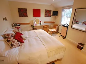 Falcon Inn - Room