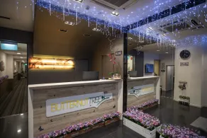 Butternut Tree Hotel - Recepción