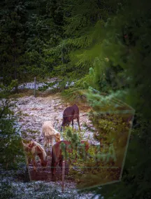 Hótel Eyvindará - Udsigt fra værelset