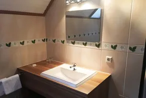 Haus Schieferstein - Bathroom