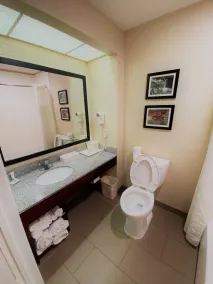 Comfort Inn Birmingham - Irondale - Salle de bain