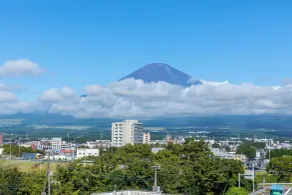 The Celecton Fujisan Gotemba Interchange - View from room
