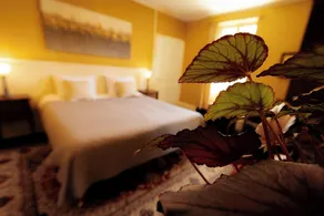 Chambres d’hôtes La Joyeuse - Zimmer