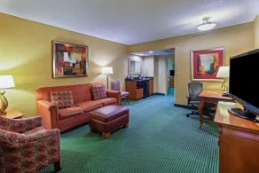 Embassy Suites by Hilton Greensboro Airport - Chambre