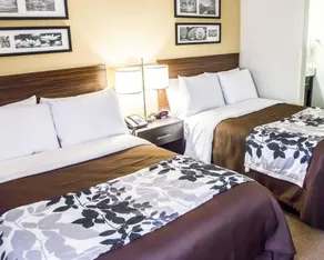 Sleep Inn Tinley Park I-80 near Amphitheatre-Convention Center - Chambre