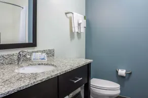 Sleep Inn & Suites Ames near ISU Campus - Salle de bain