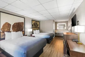 Super 8 by Wyndham Fredericksburg - Chambre