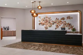 Embassy Suites by Hilton at Hot Springs Convention Center - Réception