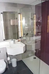 Hotel zum Adler - Superior - Salle de bain
