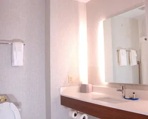 Holiday Inn Express Hotel & Suites Goshen by IHG - Salle de bain