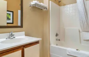 Extended Stay America Select Suites - Detroit - Ann Arbor - University South - Salle de bain