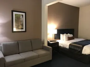 Wingate by Wyndham Augusta Fort Eisenhower - Vue de la chambre