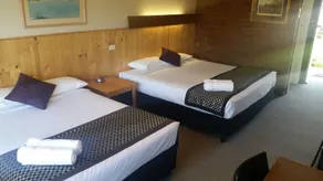 Motel Sierra - Room