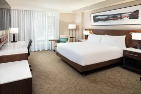 Delta Hotels by Marriott Minneapolis Northeast - Chambre