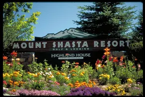 Mount Shasta Resort - Réception