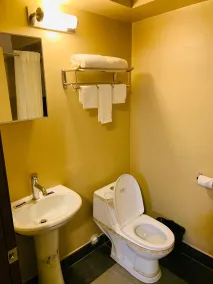 Motor City Inn & Suites - Salle de bain
