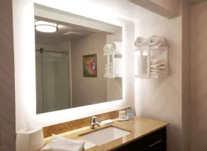Hampton Inn Johnstown - Bagno