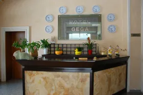 Hotel Gega - Réception