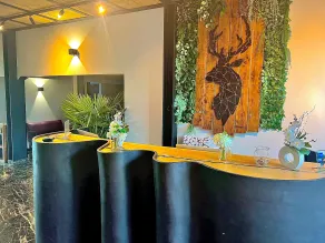 Best Western Amarys Hotel & Spa - Réception