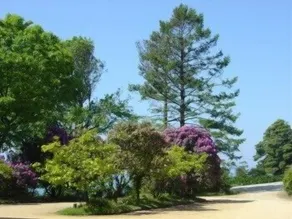 Quinta de Valverde - Enceinte de l’hébergement