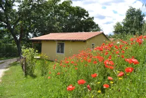 Relais Ciavatta Country Hotel - Vue de la chambre