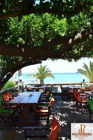 Polychrono Beach Hotel - Restaurant
