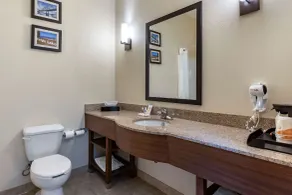 Comfort Inn & Suites Greenville I-70 - Badezimmer