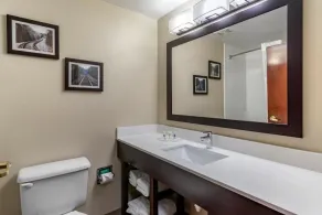 Comfort Suites near Robins Air Force Base - Salle de bain