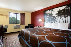 Super 8 by Wyndham Chester/Richmond Area - Chambre