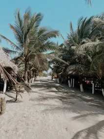 Oasis Paradise Hotel - Restaurant