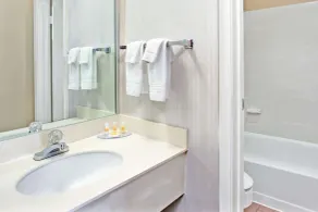 Days Inn by Wyndham Marietta-Atlanta-Delk Road - Salle de bain