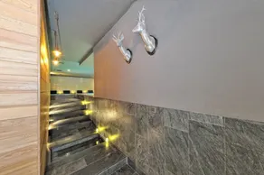 DV Chalet Boutique Hotel & Spa - Interior