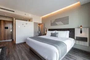 City Express Plus by Marriott Mexicali - Chambre